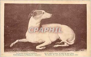 Seller image for Carte Postale Ancienne Le Levrier favori de Lamartins et le regard si doux si triste de mon chien Fido Peinture de Mada for sale by CPAPHIL