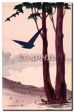 Illustrateur Carte Postale Ancienne Bord de mer oiseau