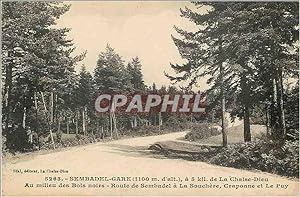 Carte Postale Ancienne Sembadel Gare de La Chaise Dieu Au milieu des Bois noirs