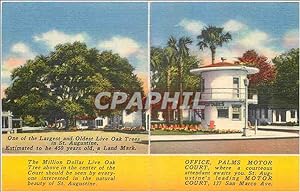 Seller image for Carte Postale Ancienne One of the Largest and Oldest Live Oak Trees in St Augustine for sale by CPAPHIL