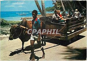 Bild des Verkufers fr Carte Postale Moderne Ox Cart La Digue Seychelles zum Verkauf von CPAPHIL