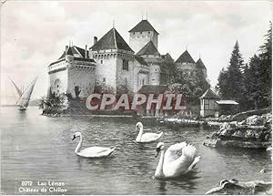 Imagen del vendedor de Carte Postale Moderne Lac Leman Chteau de Chillon Cygnes a la venta por CPAPHIL