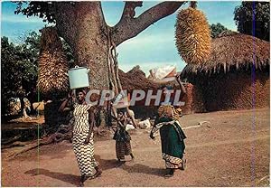 Carte Postale Moderne Afrique en Couleurs Depart pour le marche Cote d'Ivoire