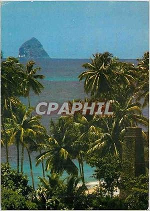 Carte Postale Moderne martinique Sainte Luce vue sur l'Anse Figuier