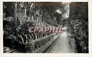 Carte Postale Ancienne Tivoli Villa d'Este Viale delle Cento Fontane