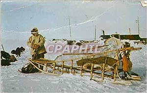 Carte Postale Moderne Alaska Travel in the Arctic Eskimo sled and Dogs