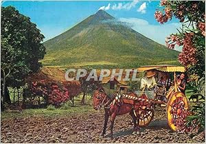 Carte Postale Moderne The Philippine Calesa is a Horse drawn carriage which dates back from the S...