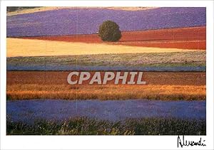 Bild des Verkufers fr Carte Postale Moderne Images Lumieres Provence Equilibre zum Verkauf von CPAPHIL