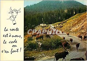 Seller image for Carte Postale Moderne La route est a nous le code on s'en fout Vaches for sale by CPAPHIL