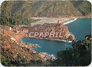 Image du vendeur pour Carte Postale Moderne Panorama de la Corse Porto Bosquet d'eucalyptus et plage de sable mis en vente par CPAPHIL