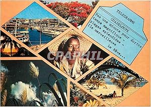 Carte Postale Moderne vues de la Guadeloupe