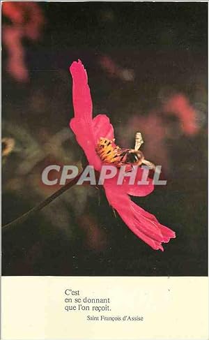Seller image for Carte Postale Moderne C'est en se donnant que l'on recoit Saint Francois d'Assise Insecte for sale by CPAPHIL