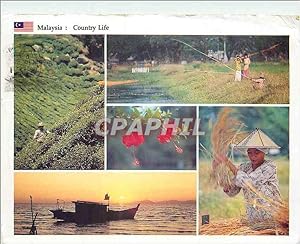 Seller image for Carte Postale Moderne Malaysia Coutry Life for sale by CPAPHIL