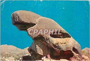 Bild des Verkufers fr Carte Postale Moderne India Mount Abu Toad Rock zum Verkauf von CPAPHIL