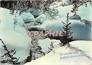 Image du vendeur pour Carte Postale Moderne Images de Chez Nous en Hiver Ruisselet dans la neige mis en vente par CPAPHIL