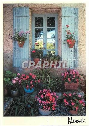 Bild des Verkufers fr Carte Postale Moderne Images Lumieres Provence vu sur Fleurs zum Verkauf von CPAPHIL