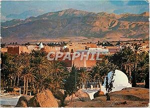 Bild des Verkufers fr Carte Postale Moderne Tunisie die Oase zum Verkauf von CPAPHIL