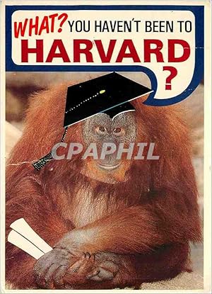 Image du vendeur pour Carte Postale Moderne Cambridge Massachusetts Acity of CollegesSinge mis en vente par CPAPHIL