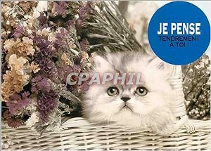 Immagine del venditore per Carte Postale Moderne Je Pense tendrement a toi Chat venduto da CPAPHIL