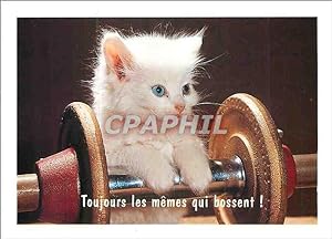 Bild des Verkufers fr Carte Postale Moderne Toujours les meme qui bossent zum Verkauf von CPAPHIL