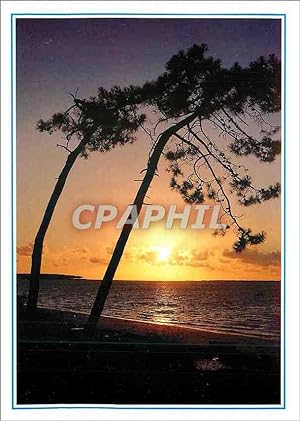 Seller image for Carte Postale Moderne PPBB Et comme un temple de slence Le ciel s'agrandit dans le soir for sale by CPAPHIL