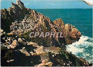 Imagen del vendedor de Carte Postale Moderne Pointe du Raz Finistere Sentier menant a la Tete de Cochon a la venta por CPAPHIL