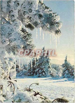 Image du vendeur pour Carte Postale Moderne Sapin mis en vente par CPAPHIL