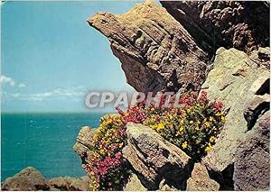 Image du vendeur pour Carte Postale Moderne Bretagne Terre du Passe Les ajoncs eclatanta parure de granit mis en vente par CPAPHIL