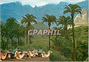 Imagen del vendedor de Carte Postale Moderne Santa Lucia (Las Palmas de Gran Canaria) Nice Panorama a la venta por CPAPHIL