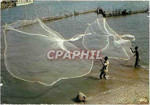 Image du vendeur pour Carte Postale Moderne Couleurs d'Afrique les lancuers d'epervier casting fishnets mis en vente par CPAPHIL