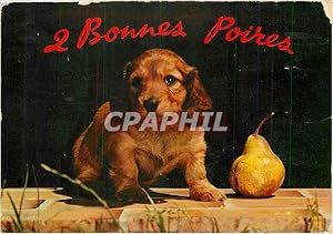 Imagen del vendedor de Carte Postale Moderne Bonnes Poires a la venta por CPAPHIL