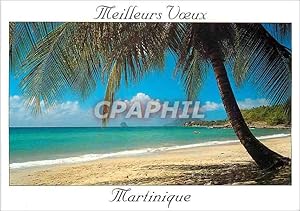 Carte Postale Moderne Meilleurs Voeux Martinique