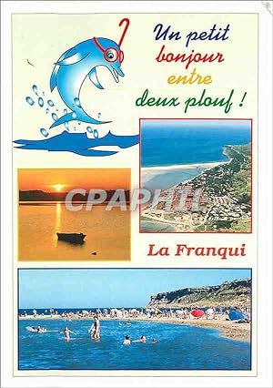 Image du vendeur pour Carte Postale Moderne Un petit bonjour entre deux plouf La Franqui Dauphin mis en vente par CPAPHIL