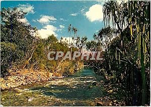 Carte Postale Moderne Riviere de la Baraoua Cote Ouest Nouvelle Caledonie