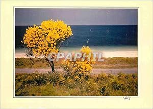 Seller image for Carte Postale Moderne Ambiace a l'heure ou le slence envahit l'immensite de l'ocean for sale by CPAPHIL