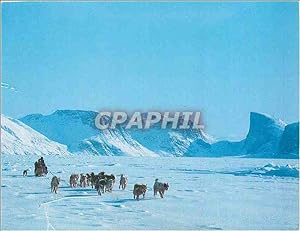 Imagen del vendedor de Carte Postale Moderne Chiens Husky a la venta por CPAPHIL
