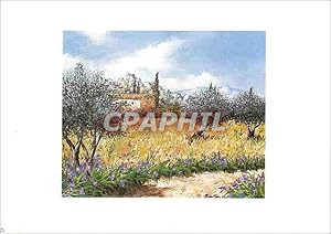 Bild des Verkufers fr Carte Postale Moderne Palma zum Verkauf von CPAPHIL