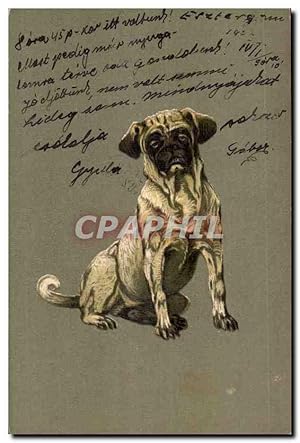 Image du vendeur pour Animaux - Chien - Sleepy hunting dog (carte hongroise Hungary Hongrie) - Carte Postale Ancienne mis en vente par CPAPHIL