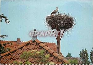 Bild des Verkufers fr Carte Postale Moderne Eine Reise wert Wendland Cigogne zum Verkauf von CPAPHIL