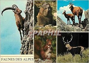 Bild des Verkufers fr Carte Postale Moderne Schweiz Bouquetin Marmotte Chamois Ecureuil zum Verkauf von CPAPHIL