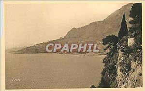 Carte Postale Ancienne Monaco Principauté L Anse du Canton vue des Jardins de Monaco