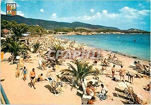 Carte Postale Moderne Mallorca Plage de Palma Nova