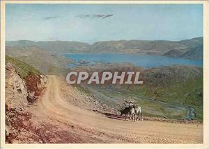 Seller image for Carte Postale Moderne Norway Reindeer on the North Cape Road for sale by CPAPHIL