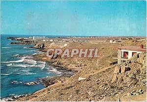 Carte Postale Moderne Torrevieja vue Partielle