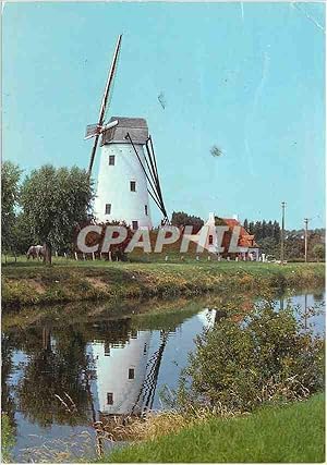 Bild des Verkufers fr Carte Postale Moderne Brugge molen ven damme Moulin a vent zum Verkauf von CPAPHIL