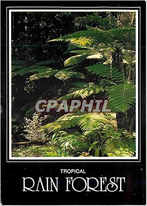 Carte Postale Moderne Australia Tropical Rain Forest