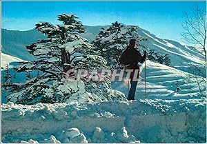 Imagen del vendedor de Carte Postale Moderne Lebanon cedars silhoette d'un moniteur de ski a la venta por CPAPHIL