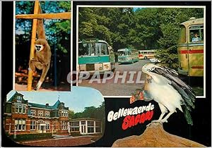 Carte Postale Moderne Bellewaerde Safari Bann route menen leper Singe Rapace Parc d'attractions