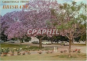 Carte Postale Moderne Brisbane Greetings from Brisbane