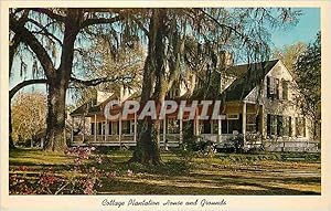 Carte Postale Moderne Cottage Plantation House and Grounds